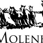 Pension-en Handelsstal de Molenheide